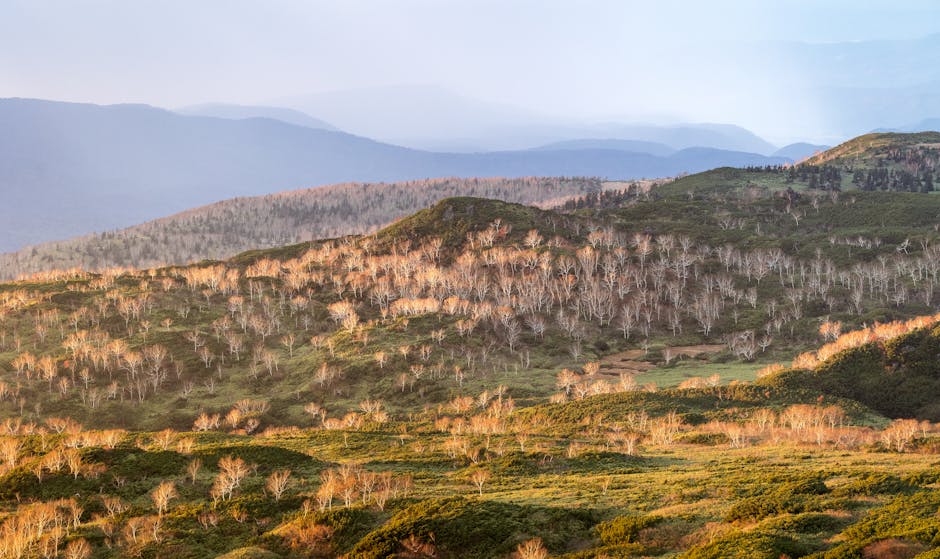 Breathtaking autumn view of Asahi-Dake landscape in Hokkaido Japan