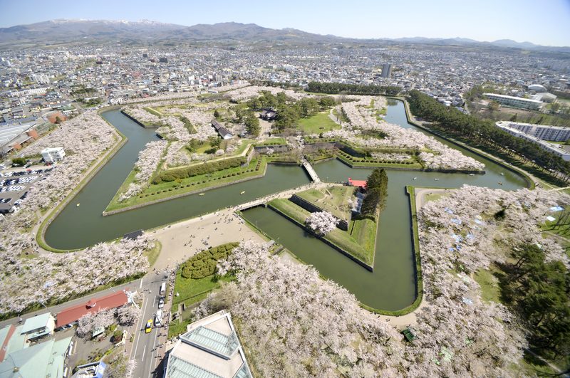 Cherry blossoms at Goryokaku Fort, Hakodate