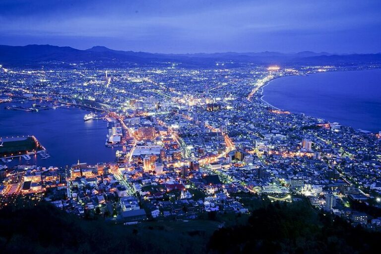 Hakodate night view