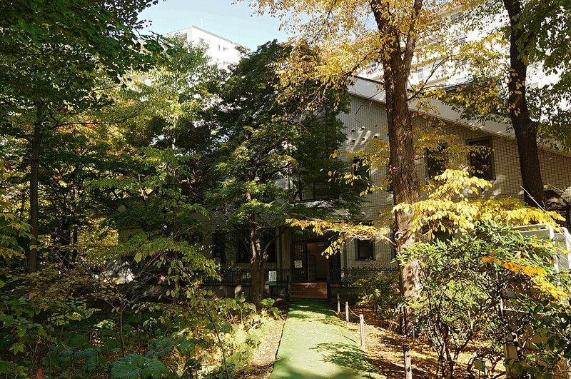 Hokkaido autumn leaves