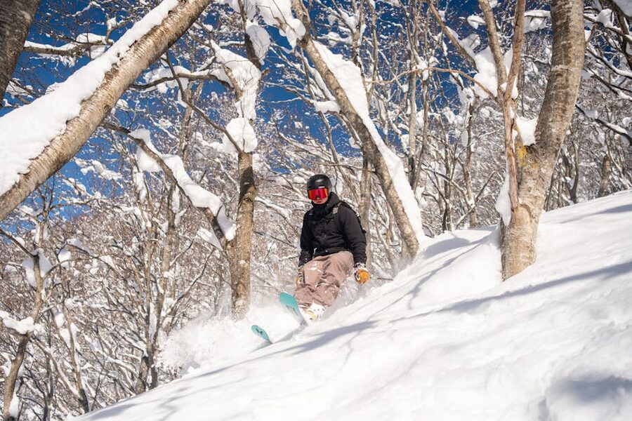 Skier skiing through fresh powder snow among snowy trees in Japan