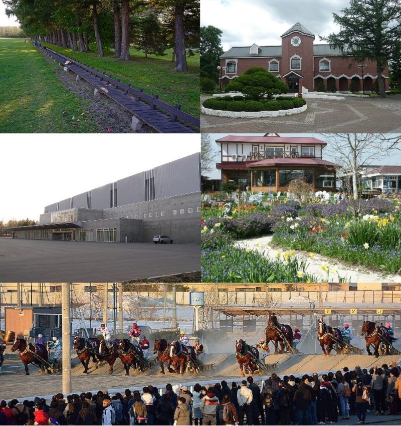 Outdoor activities in the Tokachi region of Hokkaido