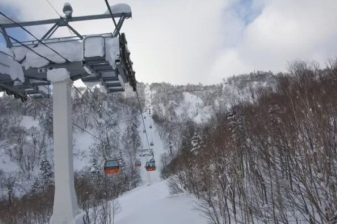 1-Day Ski Tour Package from Sapporo Station - Key points to know before you book