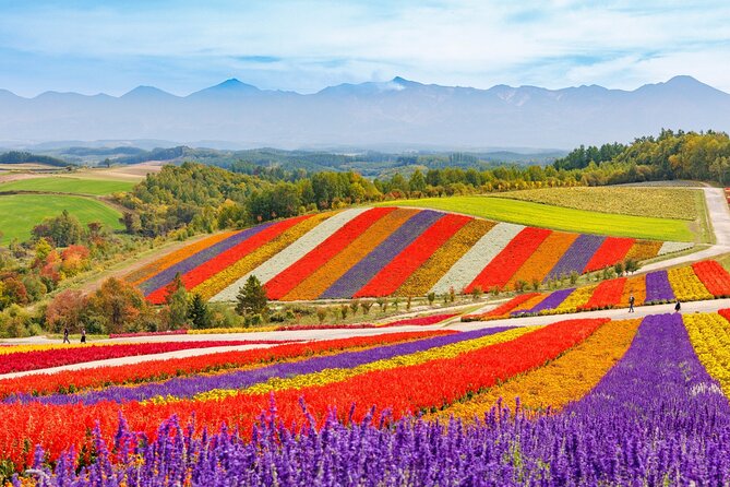 1 Day Tour from Sapporo Blue Pond and Hills of Seasonal Colors - Key points at a glance