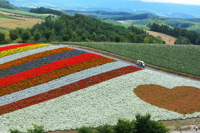 1 Day Tour from Sapporo Blue Pond and Hills of Seasonal Colors - What is included, and what you still need to arrange