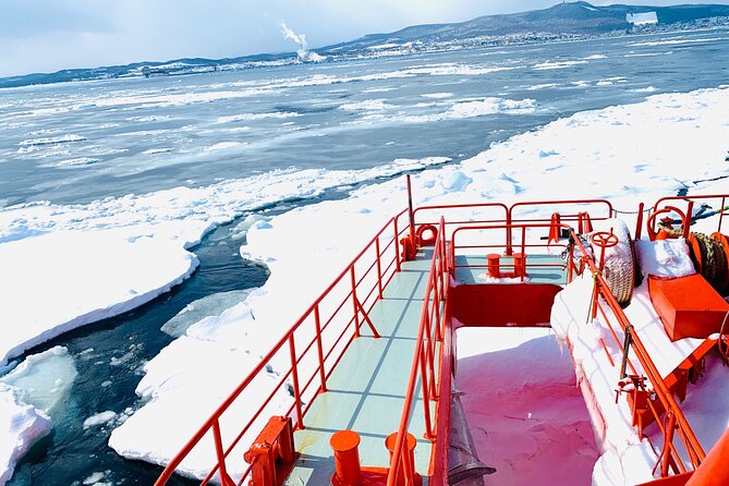 2 Day Tour to Icebreaker Mombetsu and Asahiyama Zoo in Hokkaido - Seals at the Okhotsk Tokkari Center