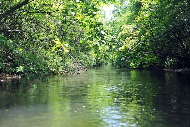 2 Hour Canoe on the Bibi River - Why This Short Canoe Trip Is Worth Considering