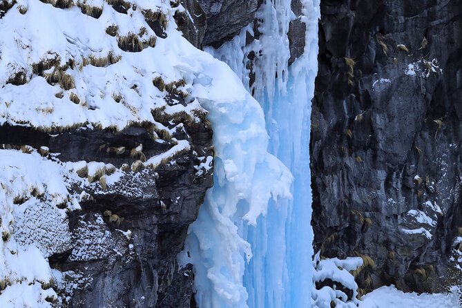 3.5hours Primeval Forest Snowshoe hike and Wildlife Watching Tour - Fitness, age, and weather limits