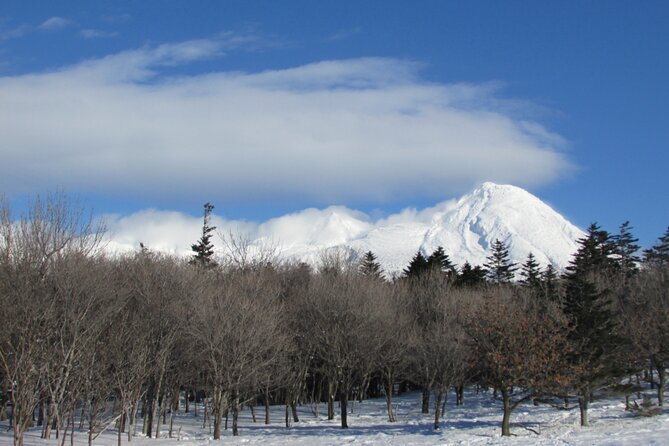 3.5hours Primeval Forest Snowshoe hike and Wildlife Watching Tour - Following routes made by wild animals