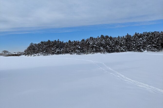 4.5 hours Snowshoe hike in Shiretoko five lakes - Why Shiretoko Five Lakes feel different in winter