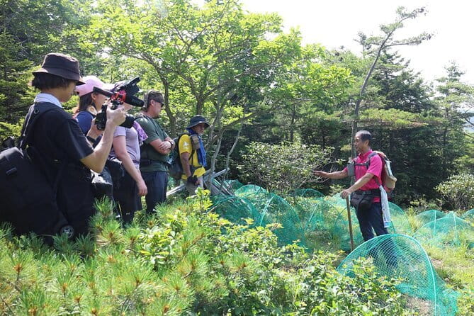 Apoi-dake Private Hiking with Guided Commentary - Seeing the regeneration experiment near the fifth station