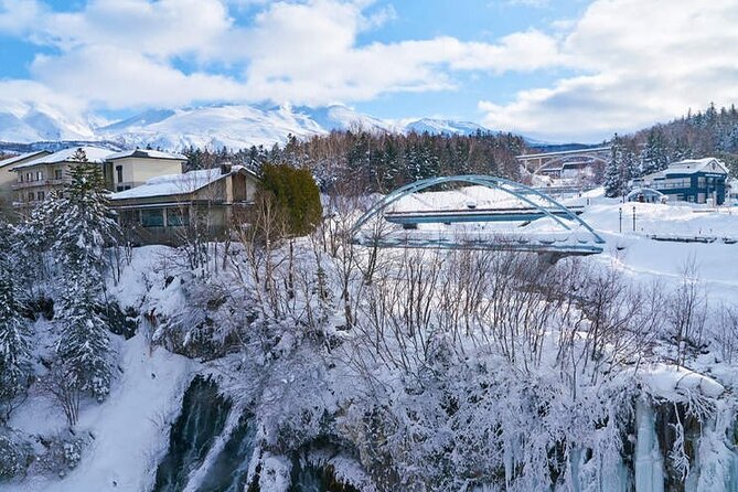 Asahiyama Zoo, Christmas Tree, Fairy Terrace Day Tour | Hokkaido - Shirahige Falls and its cliffside water
