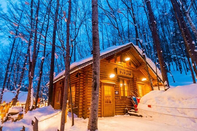 Asahiyama Zoo, Christmas Tree, Fairy Terrace Day Tour | Hokkaido - Lunch is the part you need to plan