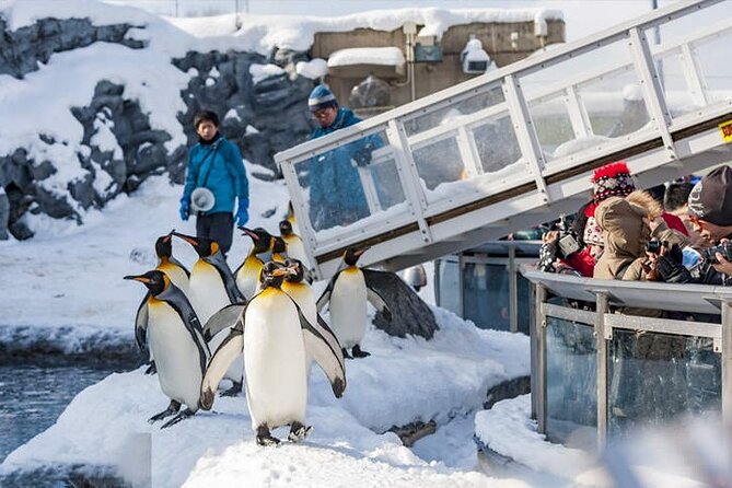 Asahiyama Zoo, Christmas Tree, Fairy Terrace Day Tour | Hokkaido - Leaving Sapporo at 7:30 am