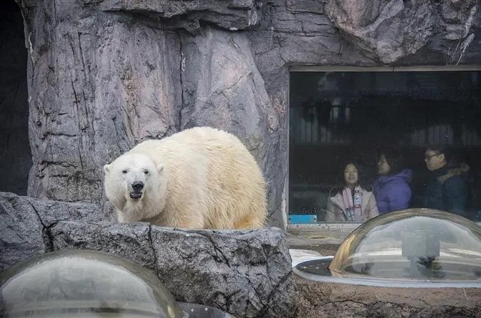 Asahiyama Zoo One-Day Tour - Planning lunch inside a busy zoo