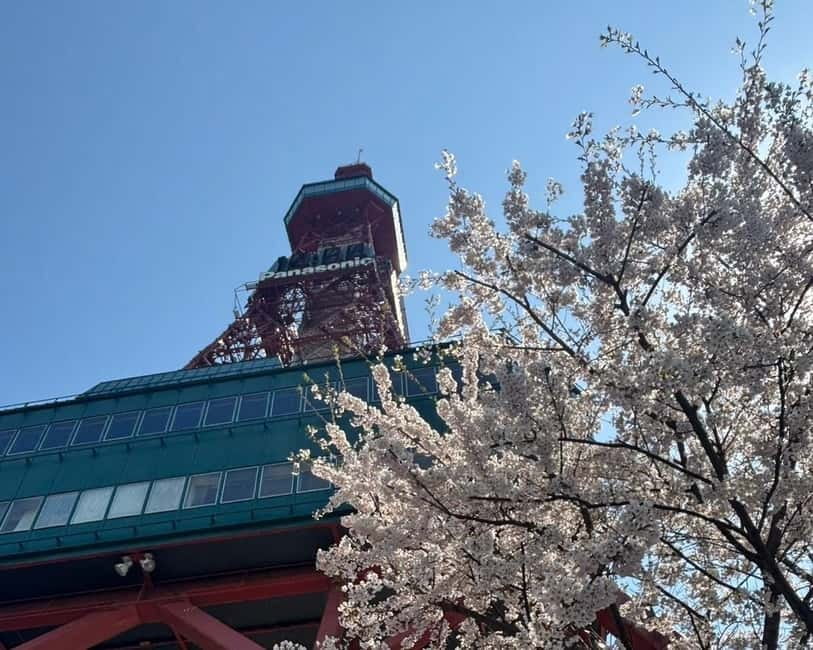 Authentic Sapporo: Nijo Market Seafood Lunch & History Tour - Is $61 a fair price?