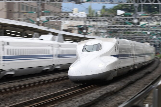 Day Trip Kyoto from Tokyo with a Licensed Guide by Bullet Train - Hotel pickup and the first rail connection