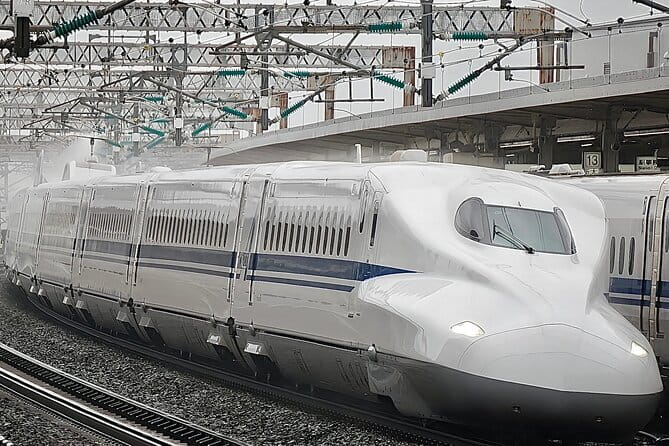 Day Trip Osaka from Tokyo with a Guide by Bullet Train - Starting at Tokyo Station Marunouchi