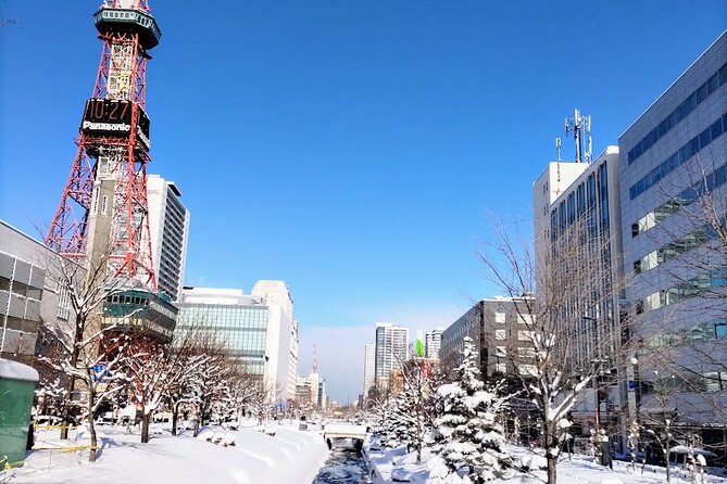 Enjoy Foods and Drink! Walking Downtown of Sapporo with Ken-san. - Sapporo TV Tower and Odori Park