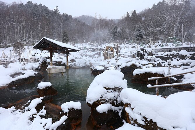 Enjoy snow-covered hot springs with private transport - Arriving at the hot spring