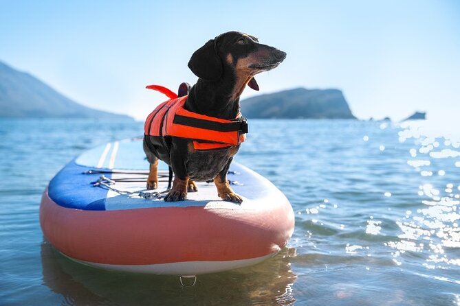Exciting Kayak Adventure on Lake Shikotsu Toya National Park - Who will get the most from this outing?