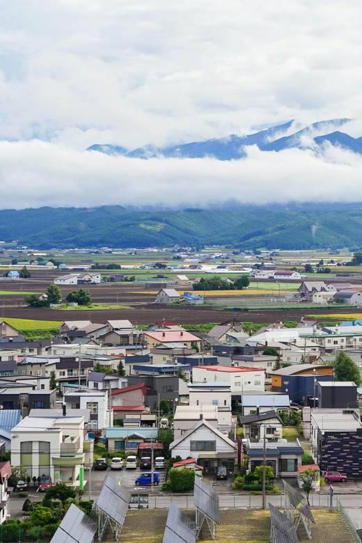 From Sapporo: Furano and Biei Vibrant Fields Tour - Is $935 good value?