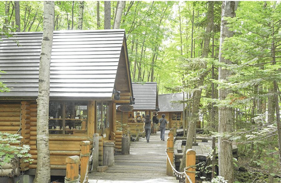 From Sapporo : Hokkaido Furano Tomita Farm Joiner Tour - Lunch, timing, and the real value of $150