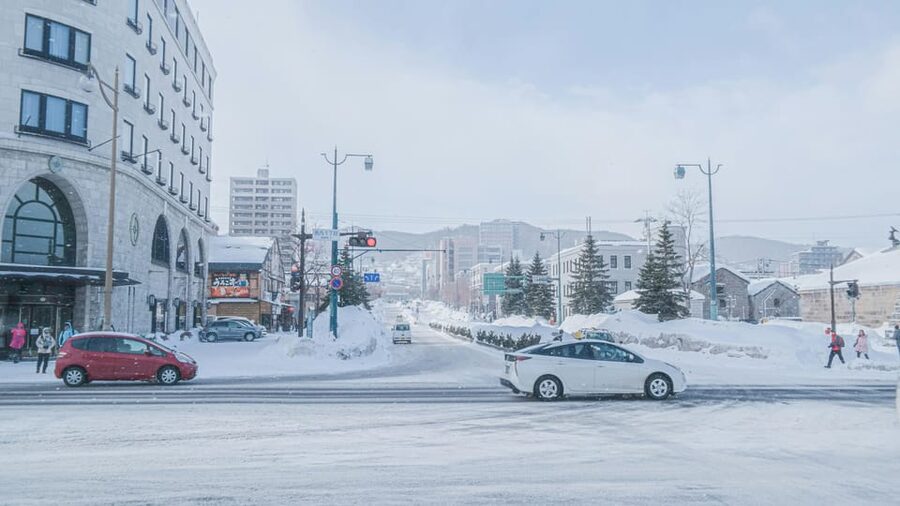 From Sapporo: Private Customized Day Tour to Otaru - What the driver can and cannot do