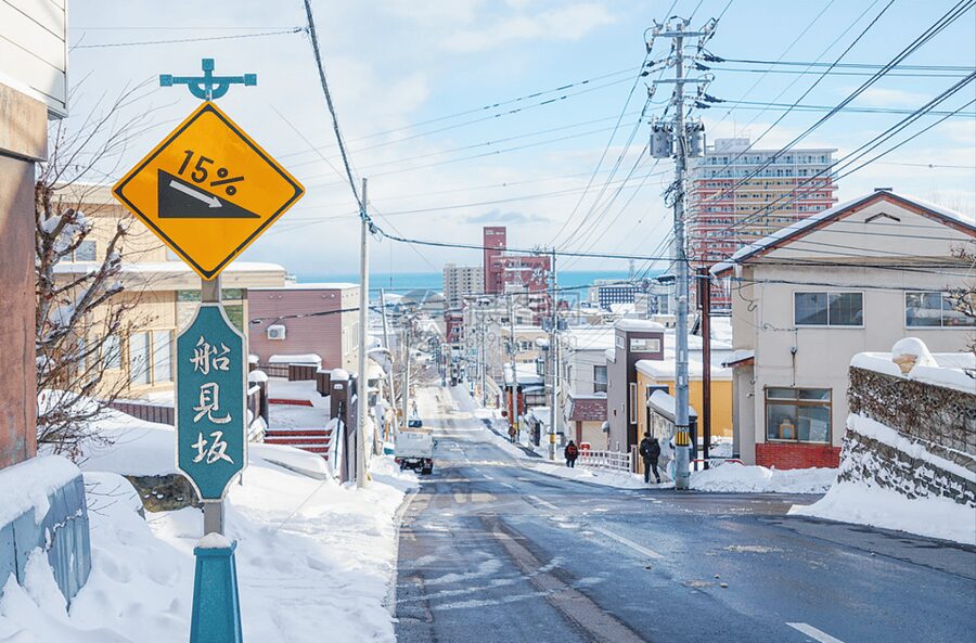 From Sapporo: Private Customized Day Tour to Otaru - Starting the morning from central Sapporo