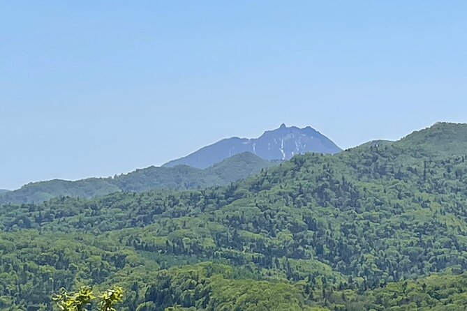 Full Day Green Season Hiking in Sapporo and Hokkaido with onsen. - Soranuma-dake: the best middle-ground hike