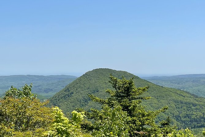 Full Day Green Season Hiking in Sapporo and Hokkaido with onsen. - The guide and the small-group advantage