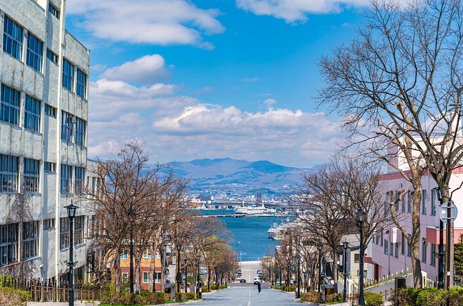 Full-Day Private Hakodate Shore Tour with Local Guide - Motomachi’s sloping streets, including Hachiman-zaka