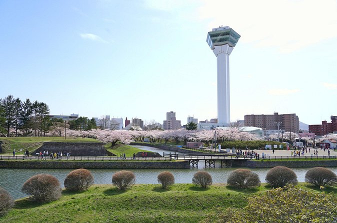 Full-Day Private Hakodate Shore Tour with Local Guide - What private transportation changes