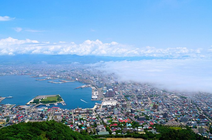 Full-Day Private Hakodate Shore Tour with Local Guide - Lunch, timing, and the cruise-day clock