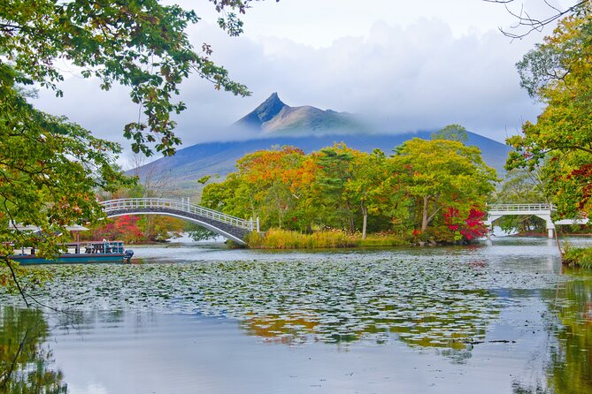 Full-Day Private Shore Tour Hakodate Highlights by Van - A full day built around Hakodate’s biggest sights