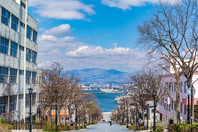 Full-Day Private Shore Tour Hakodate Highlights by Van - Starting at the Hakodate Morning Market