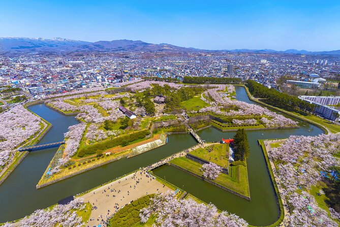 Full-Day Private Shore Tour Hakodate Highlights by Van - Taking a nature break at Onuma National Park