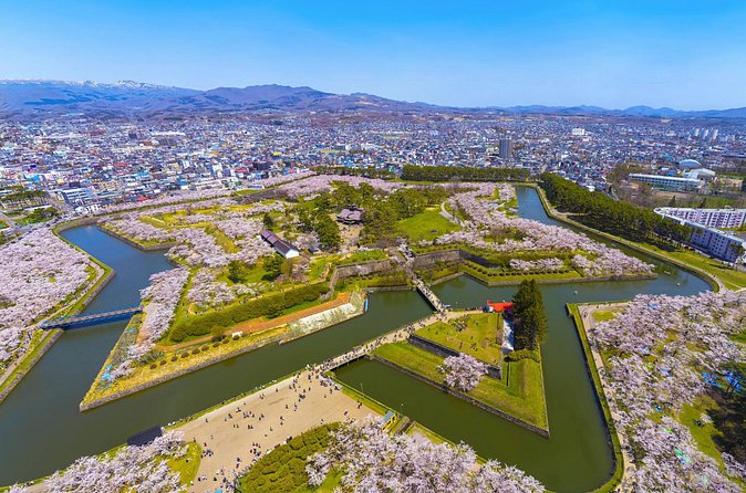 Full-Day Private Shore Tour Hakodate Highlights by Van - How the private van changes the day