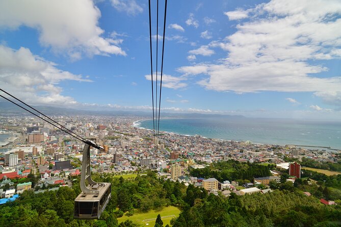 Full-Day Private Shore Tour Hakodate Highlights by Van - What the $364.78 price really buys