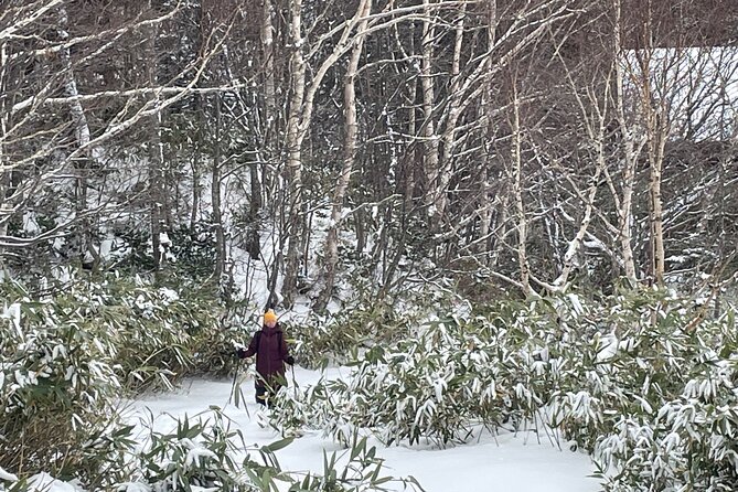 Full Day Snowshoeing Adventures with Onsen. - A full winter day below Sapporo Dake