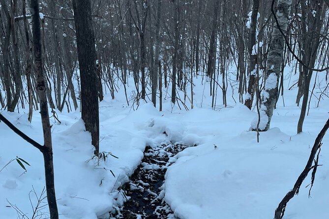 Full Day Snowshoeing Adventures with Onsen. - Lunch, breaks, and the onsen payoff