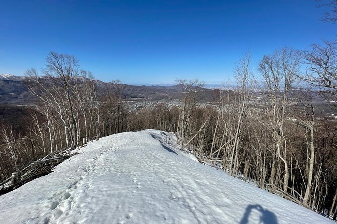 Full Day Snowshoeing Adventures with Onsen. - Who should book this snowshoe adventure