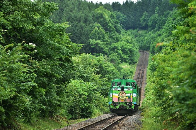 Furano & Biei 6 hour Tour: English Speaking Driver only, No Guide - Shirogane Blue Pond and the long-distance choice