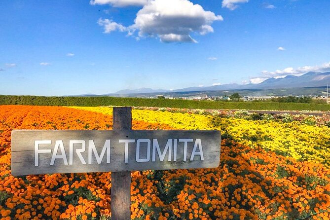 Furano & Biei 6 hour Tour: English Speaking Driver only, No Guide - Farm Tomita and Furano’s famous lavender fields