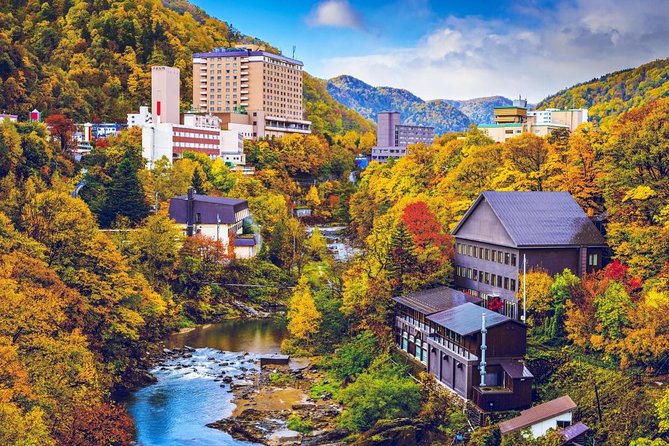Furano & Biei Customised Private Day Tour (Up to 8 Pax / 9 Hours) - Is $617.48 good value for your group?