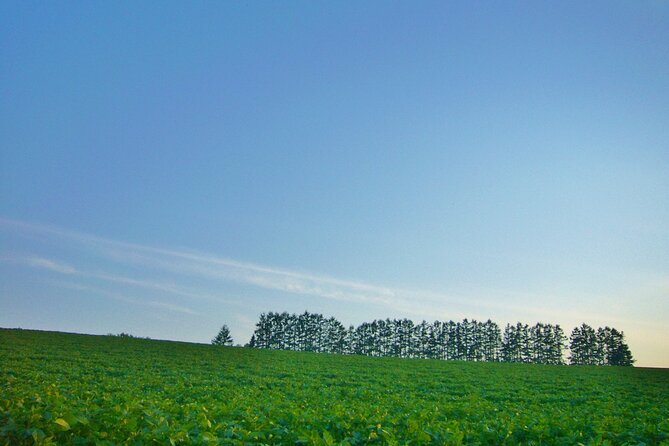 Furano Biei Tour Sapporo DEP: English Speaking Driver, No Guide - Zerubunoka Atomunooka: a broad view over Biei