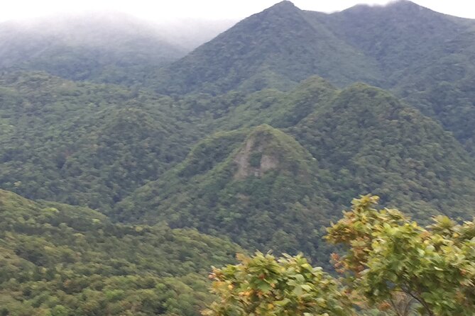 Green Season Half Day Hikes in Sapporo and Hokkaido with Onsen - Forest, wildlife, and the value of a local guide