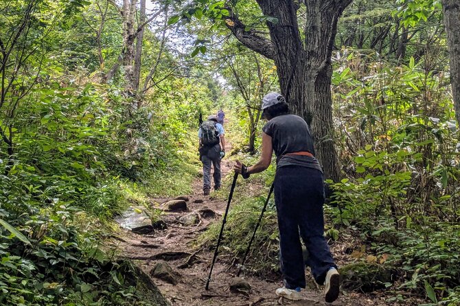 Guided Shioya Maruyama Hike with Scenic Views and Snacks - Key Points at a Glance