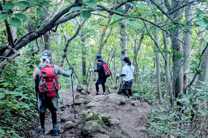 Guided Shioya Maruyama Hike with Scenic Views and Snacks - Why Shioya Maruyama Makes a Good Otaru Side Trip