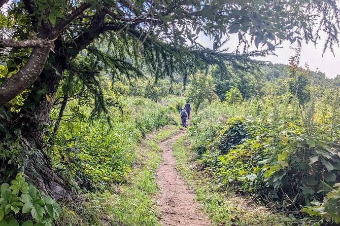 Guided Shioya Maruyama Hike with Scenic Views and Snacks - Meeting at Shioya Station and Starting the Walk